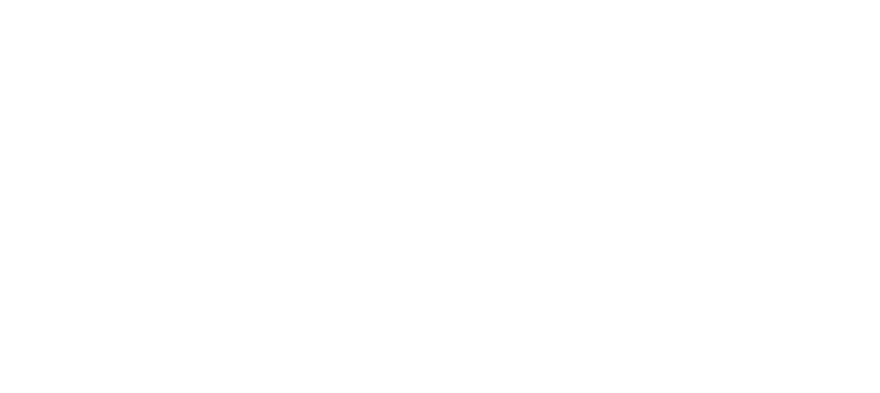 Team Players logo