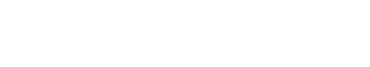 The Dreaming Boy Is a Realist logo