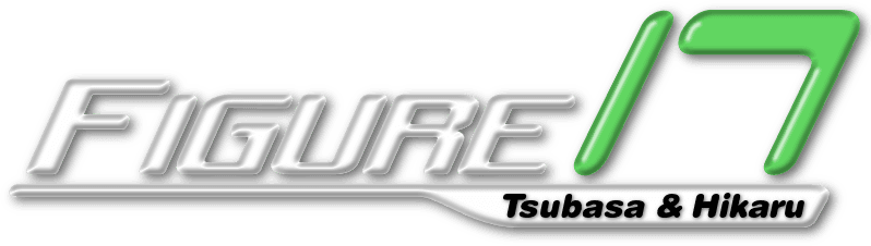 Figure 17: Tsubasa & Hikaru logo