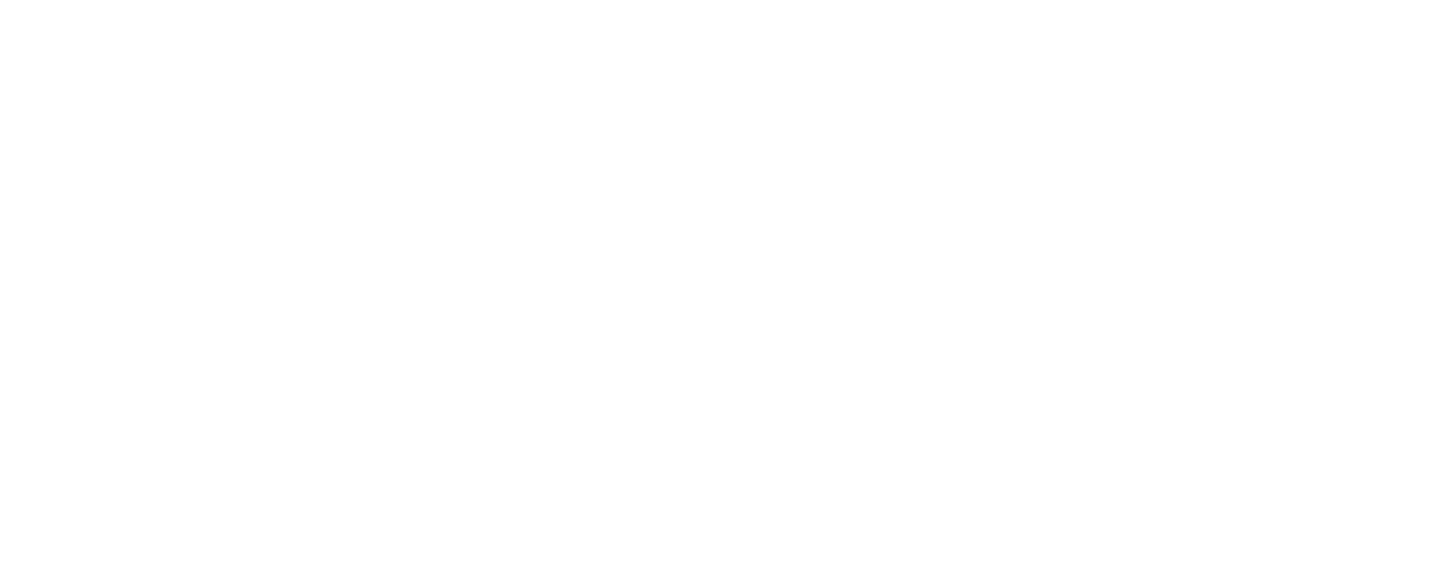 Missing in Action logo