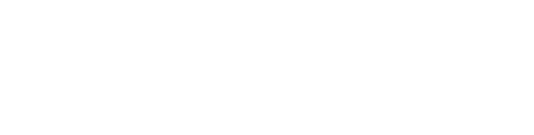 Wild Boys of the Road logo