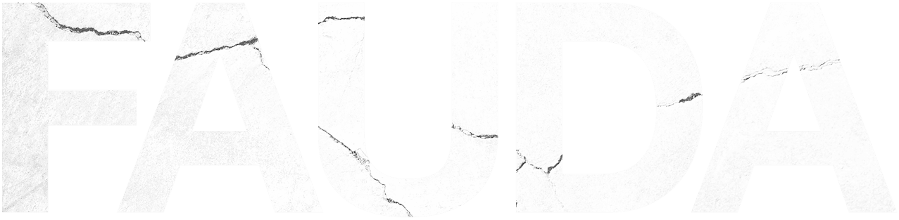 Fauda logo