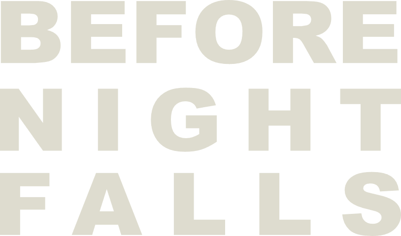 Before Night Falls logo