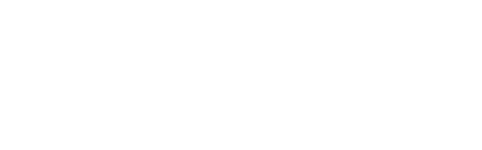 Chasing Shadows logo