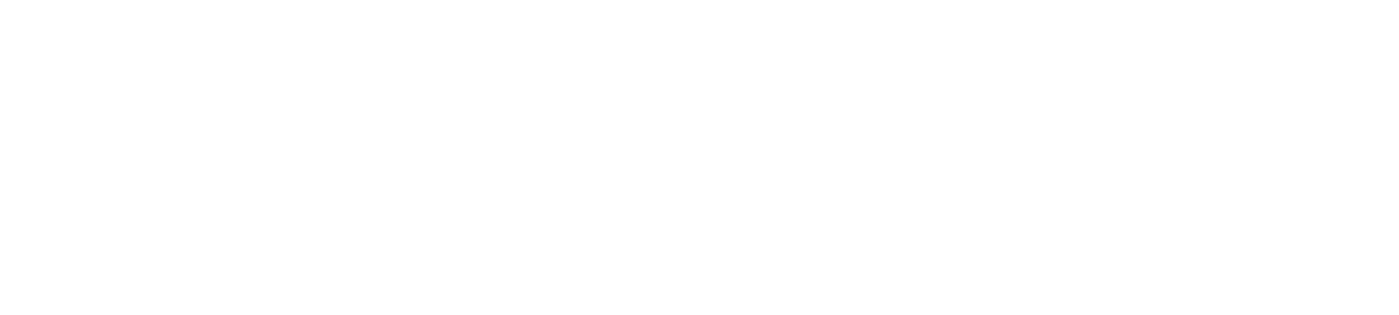 The Twins Effect II logo