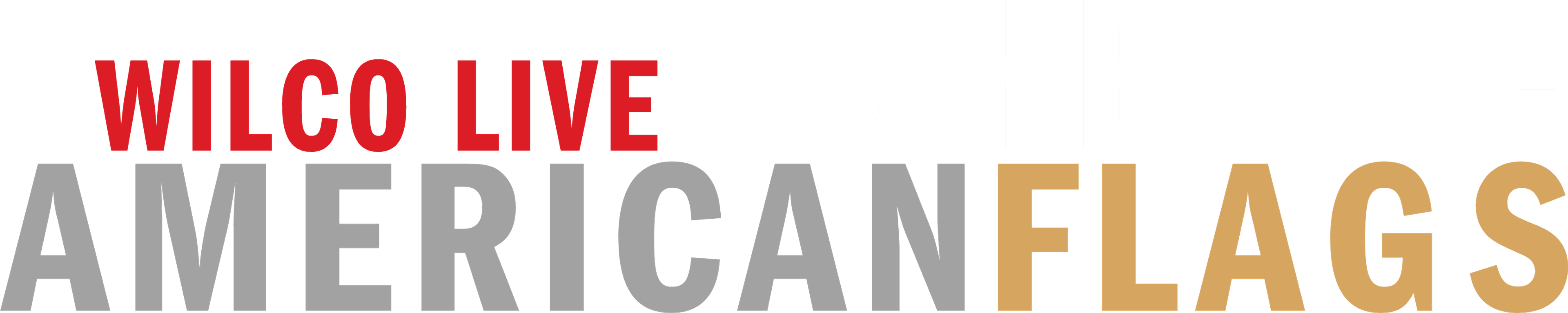 Wilco: Ashes of American Flags logo