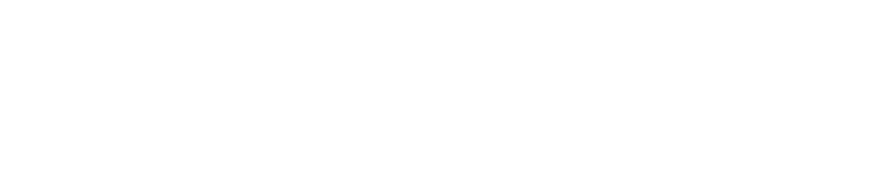 American Manhunt: Osama bin Laden logo