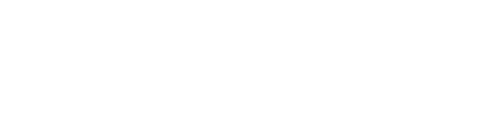 Valley Girl logo