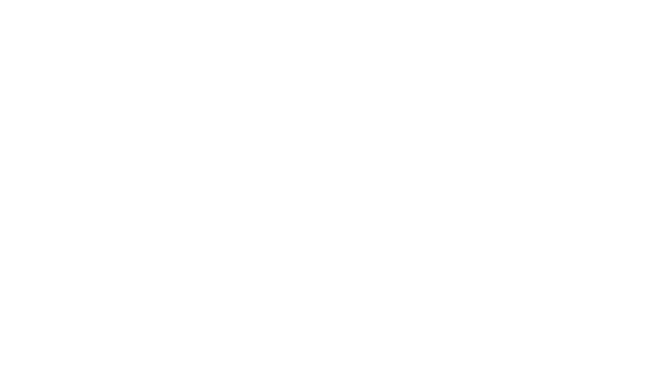 Mighty Raju logo