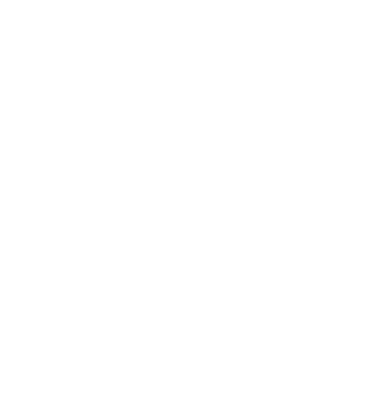 On the Edge: World Cup Ski Racing logo