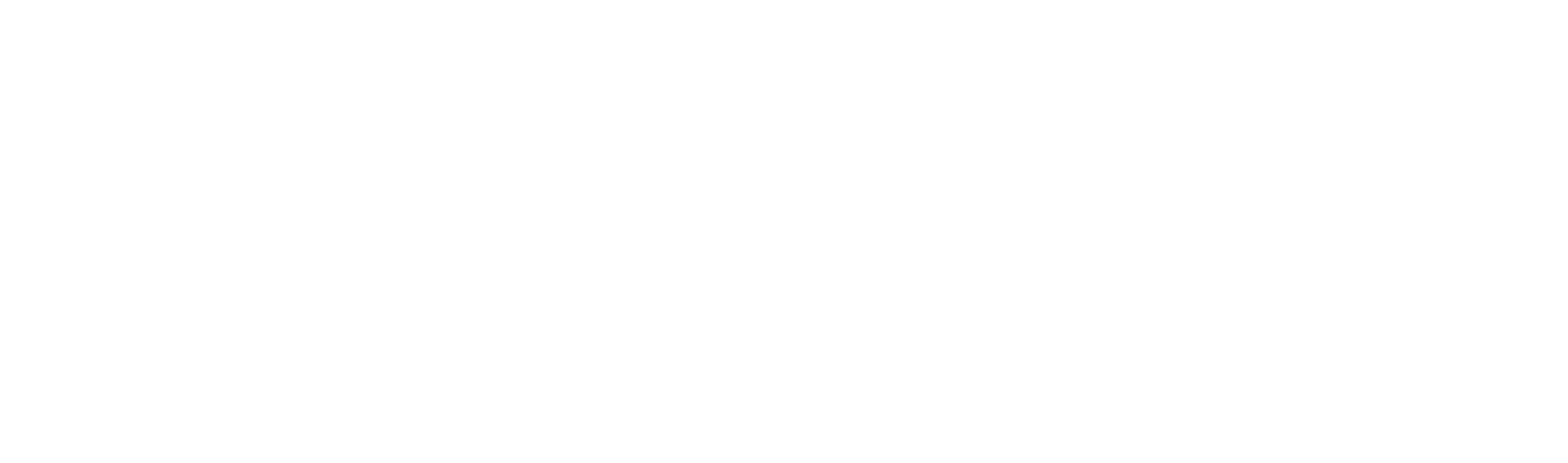 Fastest Cars in the Dirty South logo