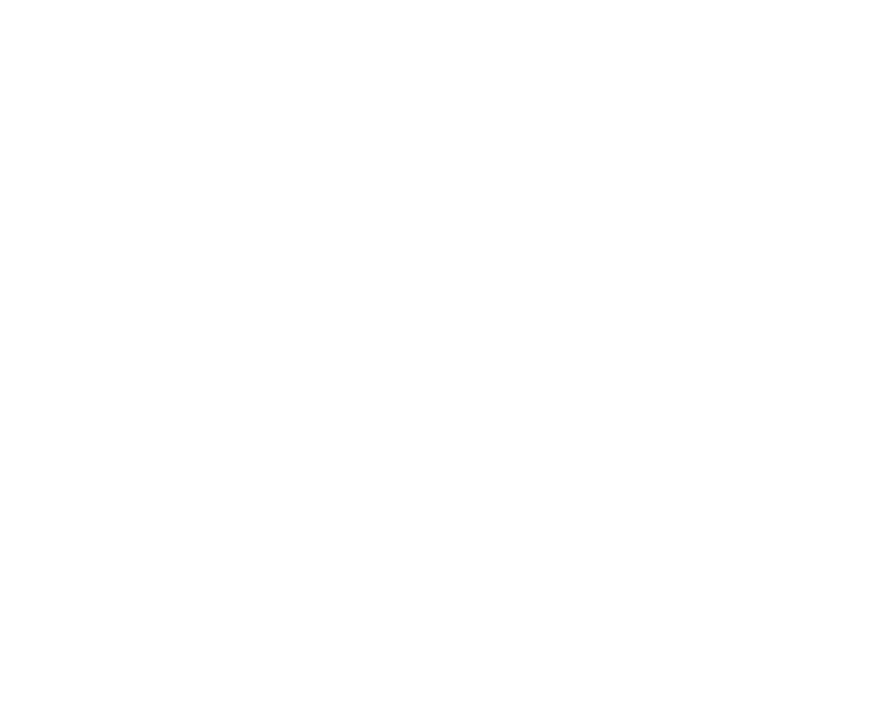 The Wrong Guys logo