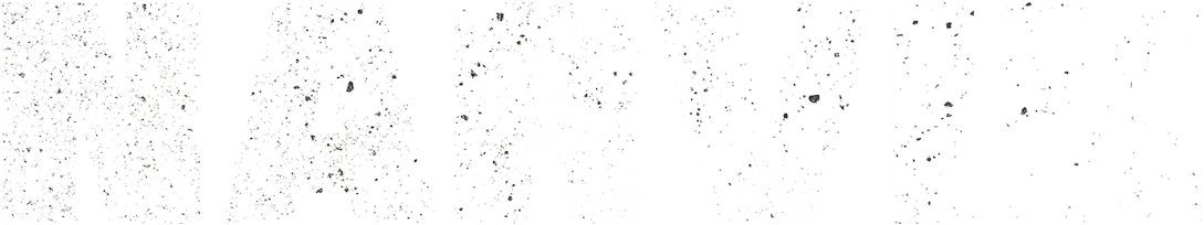 Narvik logo