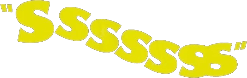 Sssssss logo