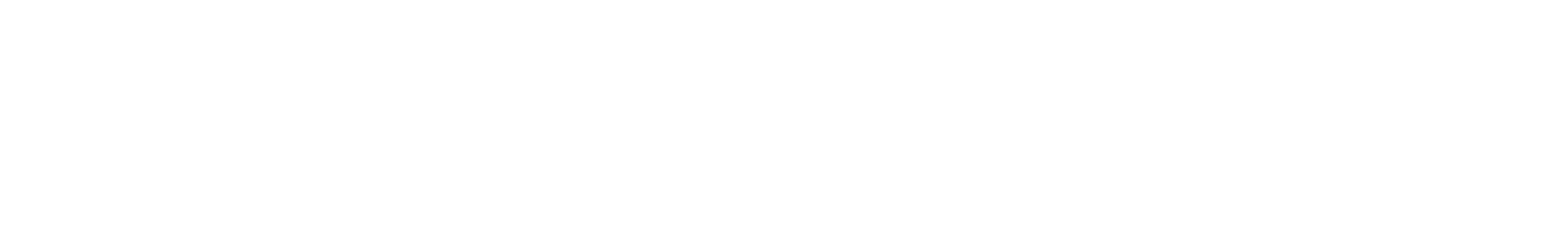 About Schmidt logo