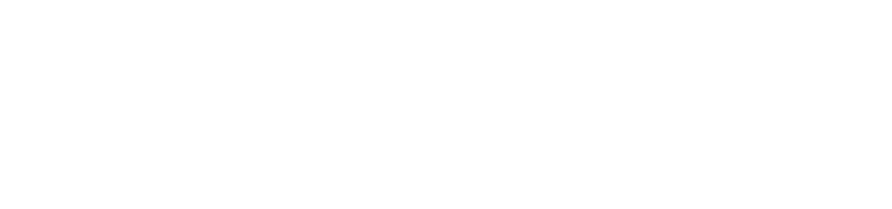 Cousins Undercover logo