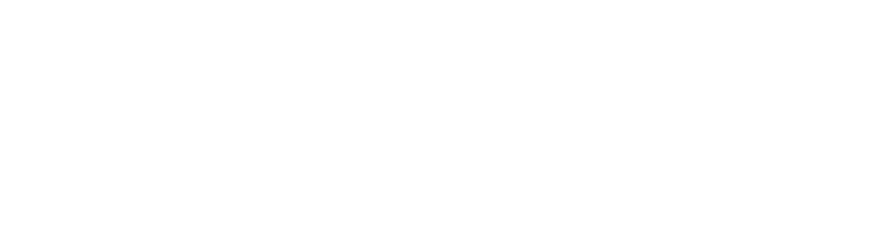 My Führer logo