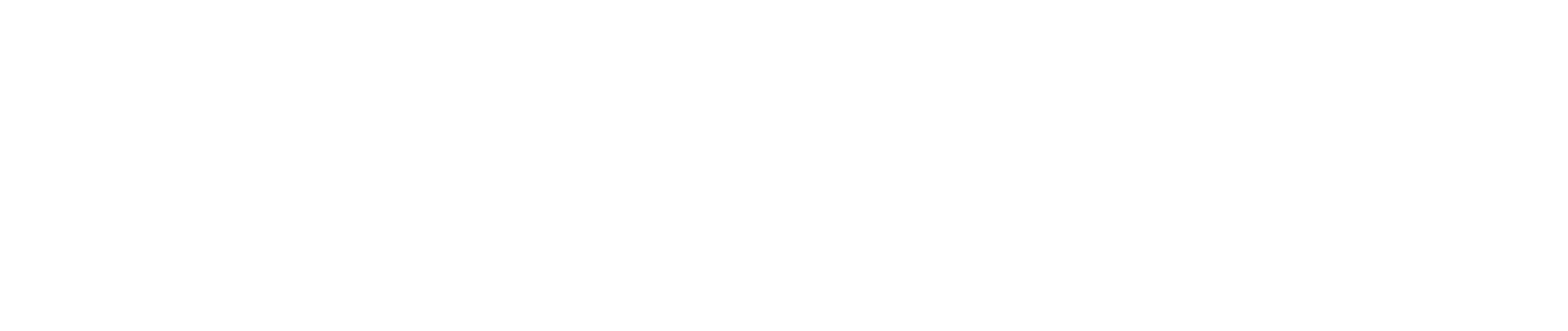 The Namesake logo