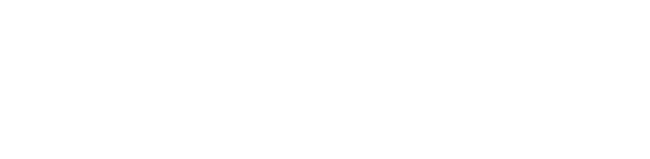 Point of No Return logo