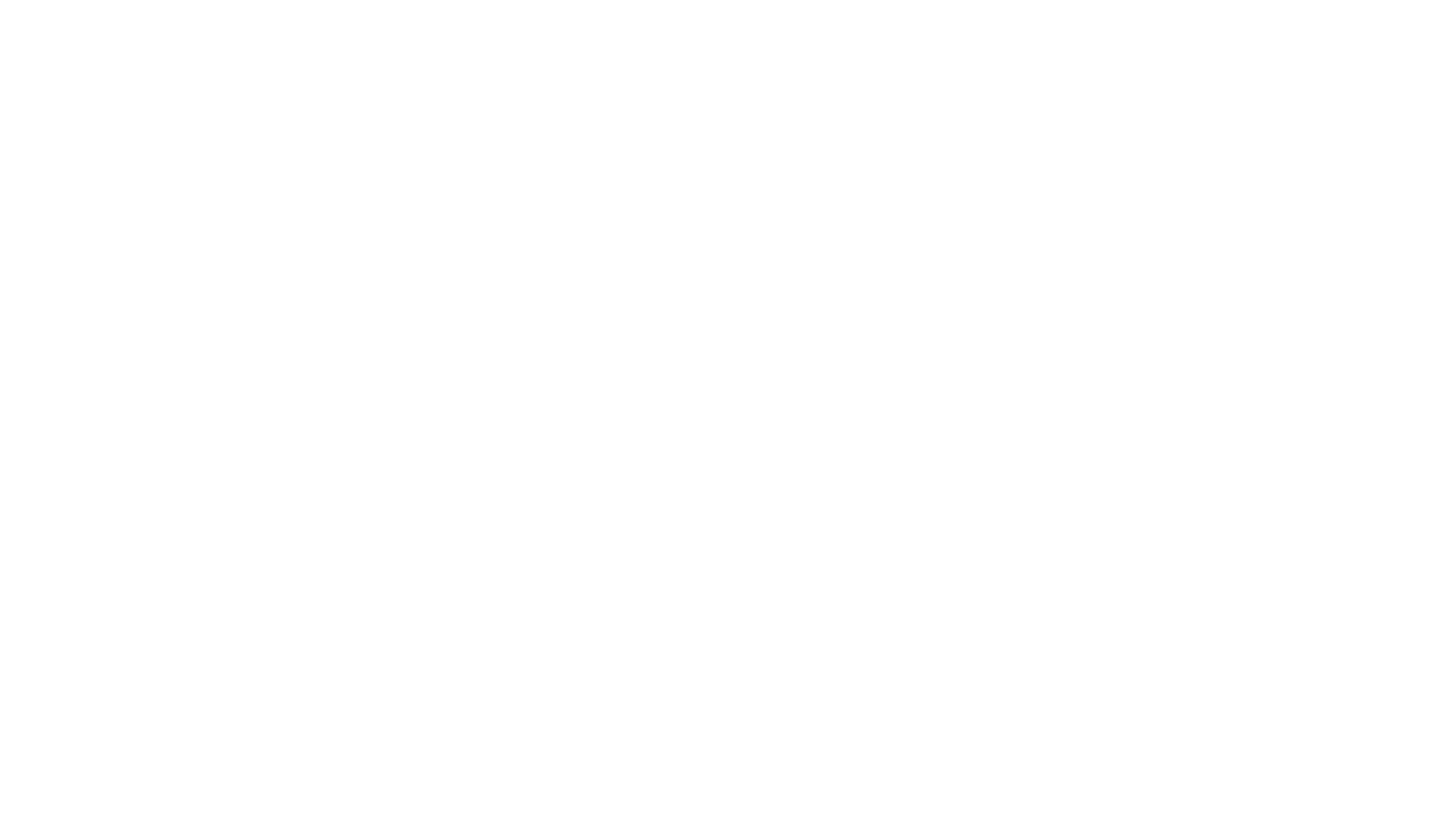 Light Chaser Rescue logo