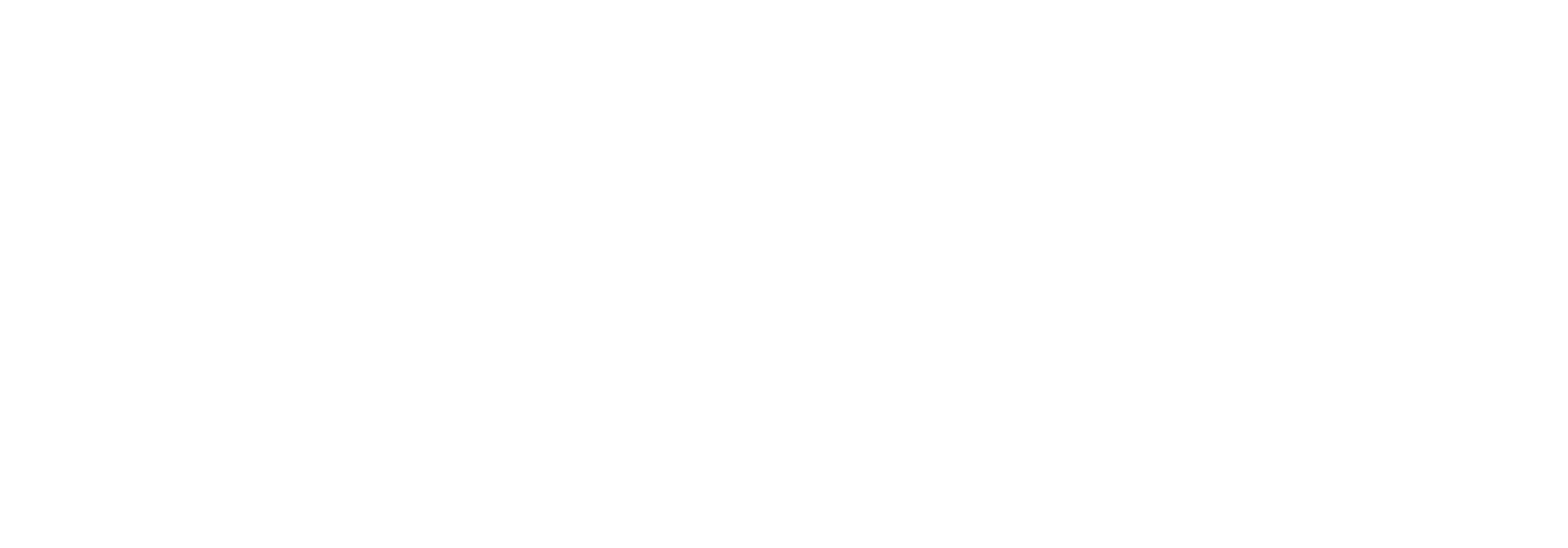 Lake Placid logo