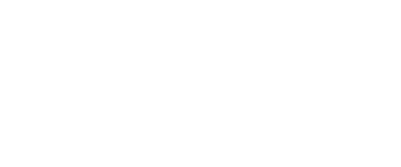 Donkey Skin logo