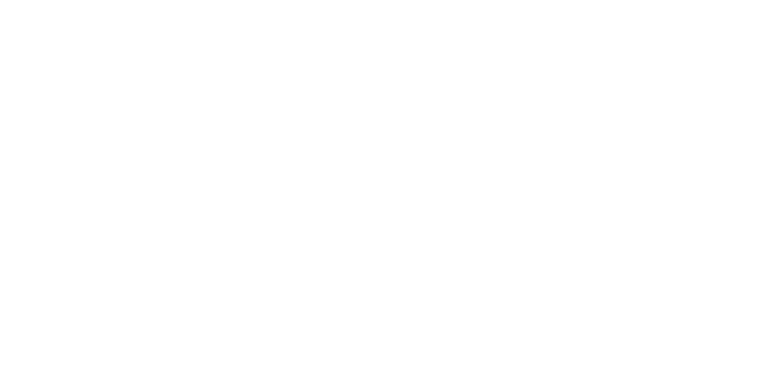 Shanghai Express logo