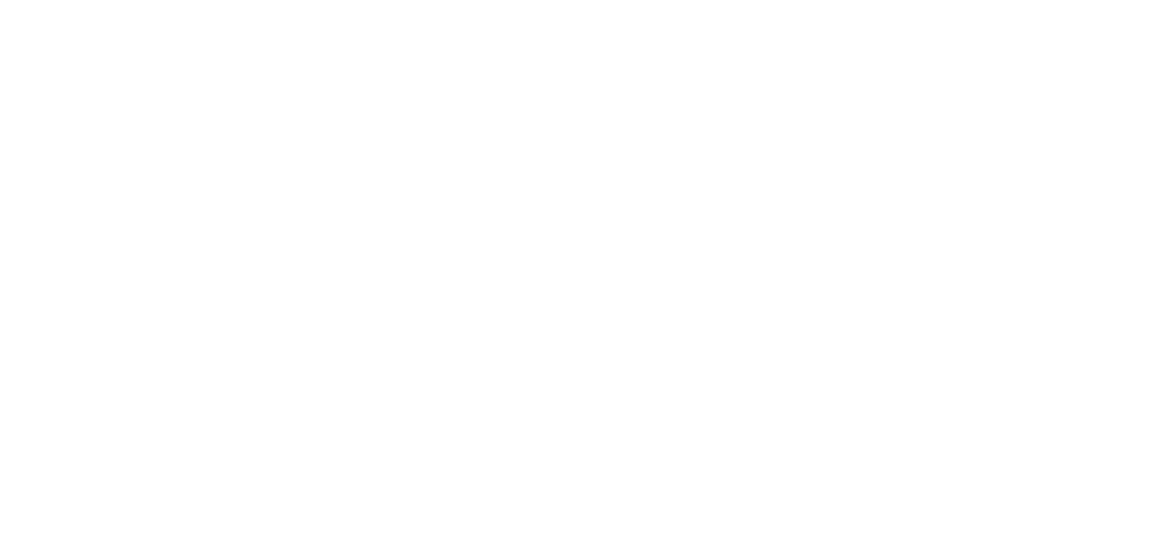 Little Brother logo
