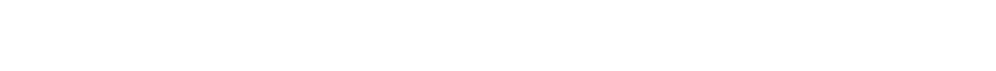 The Visitor logo