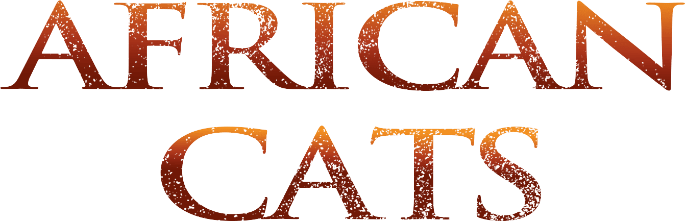 African Cats logo