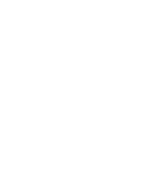 The Boy Next World logo