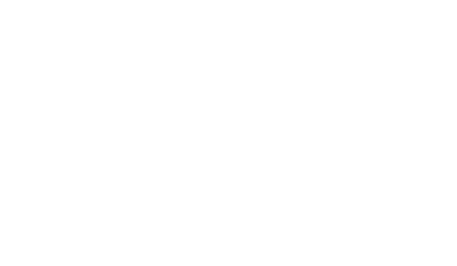 Blue Story logo