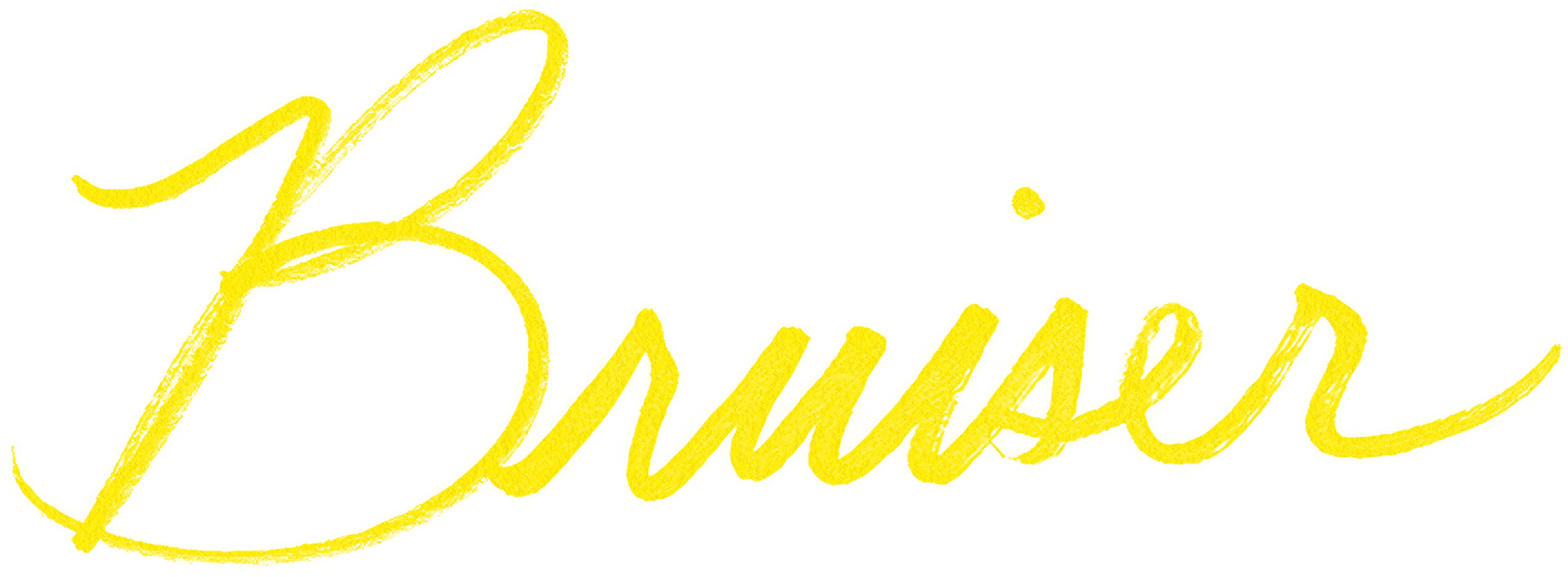 Bruiser logo