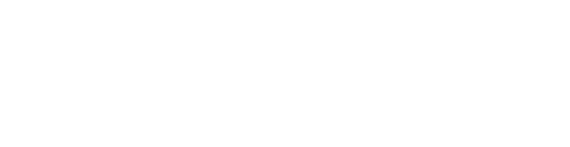 Noel Gallagher's High Flying Birds - Live at Wythenshawe Park, Manchester logo