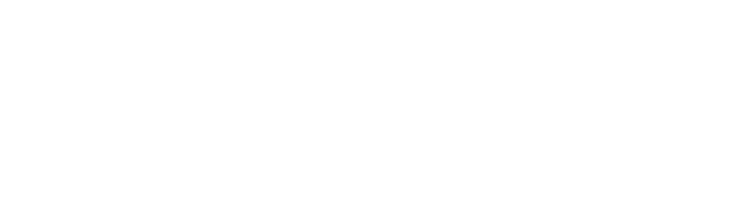 In America logo