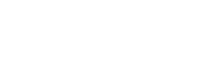 Dogtown and Z-Boys logo