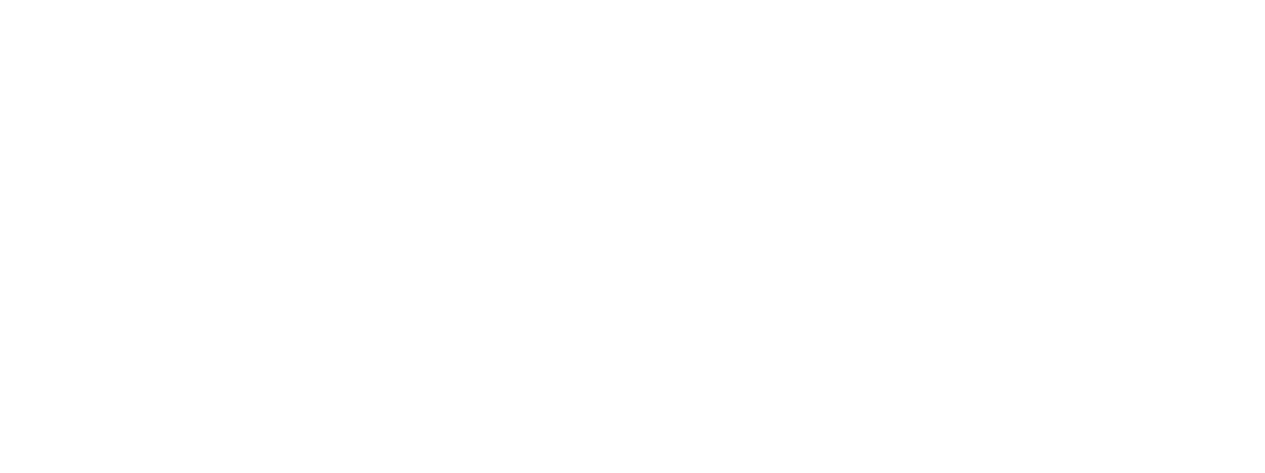 The Bourne Identity logo