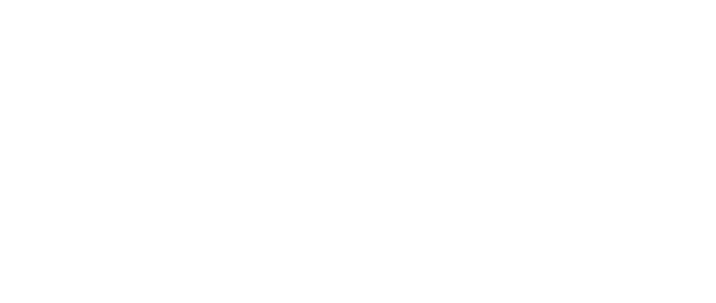 Love of the Irish logo