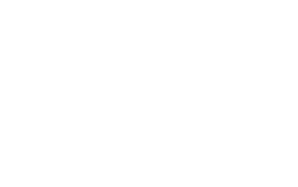The Alabama Solution logo