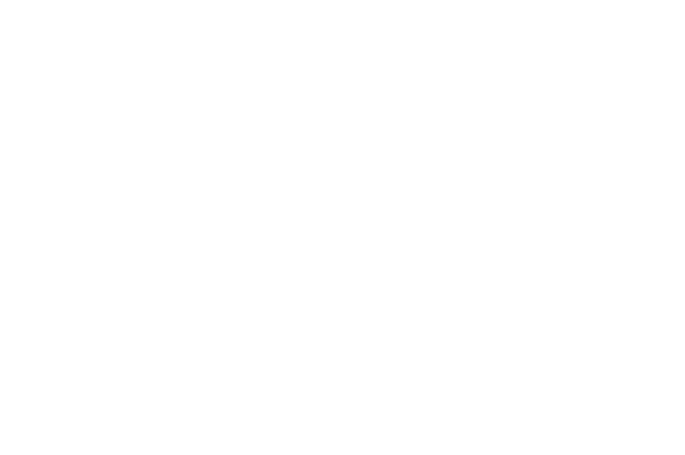 Towards Zero logo