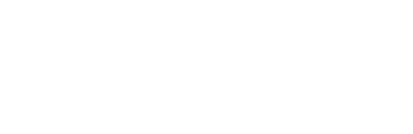 The Perfect Marriage logo