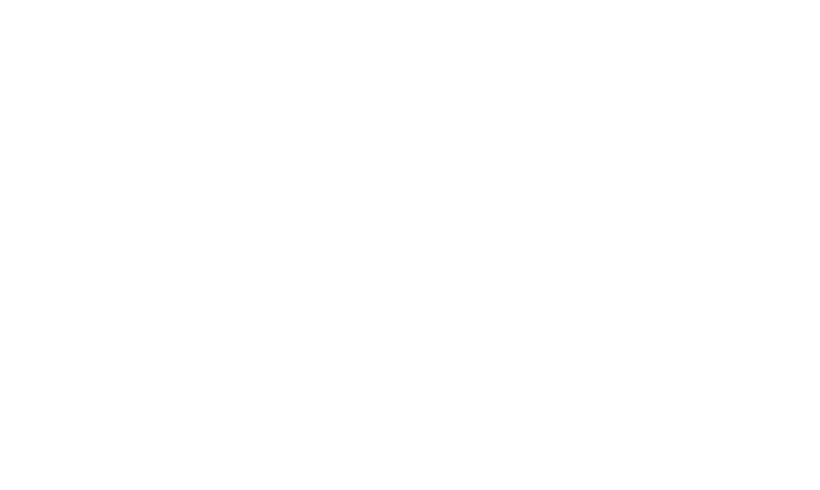 The Danish Woman logo
