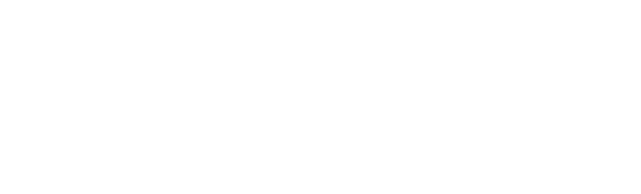 Stepmom and Daughter Blues logo