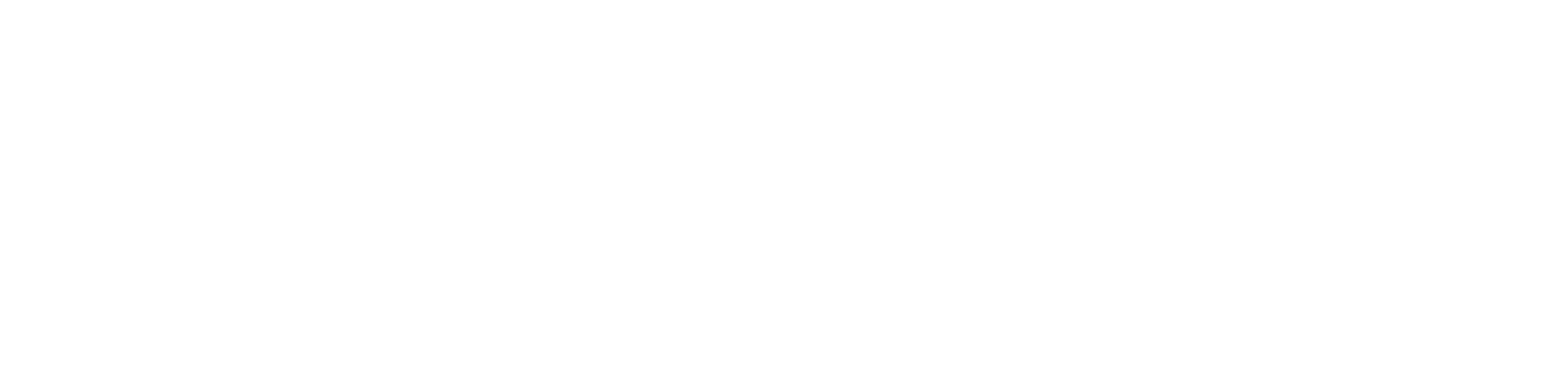 Summer Rain logo