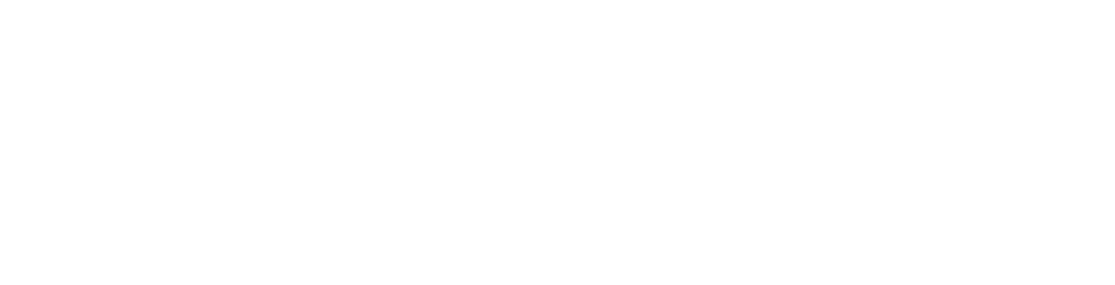 Senna logo