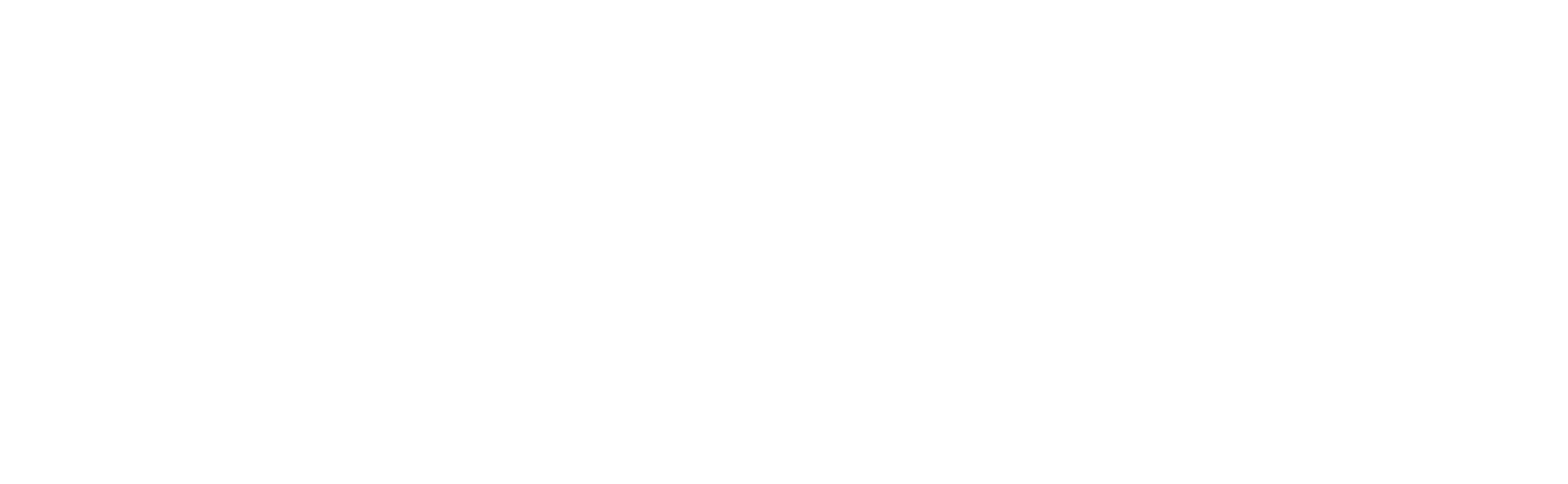 Visitor Q logo