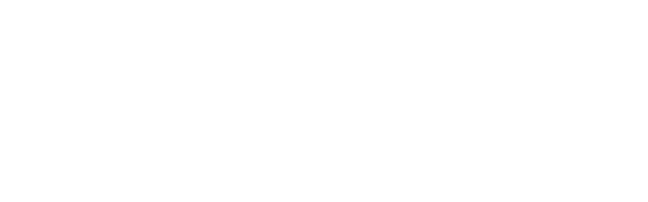 The Director and the Jedi logo
