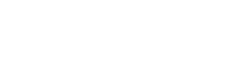 Haunted Case Files logo