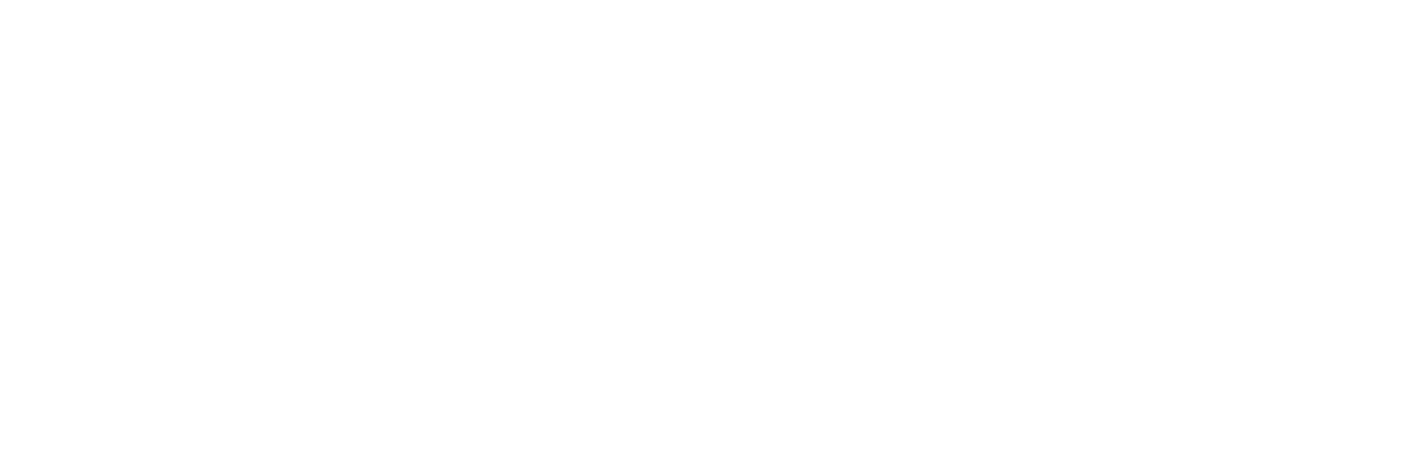 Chrome Soldiers logo