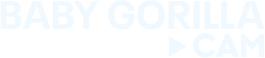 Baby Gorilla Cam logo